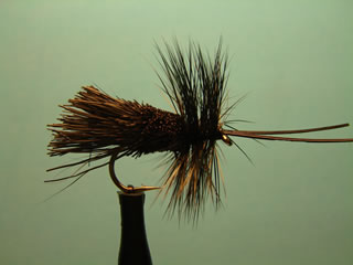 Black Goddard Caddis (10-16)